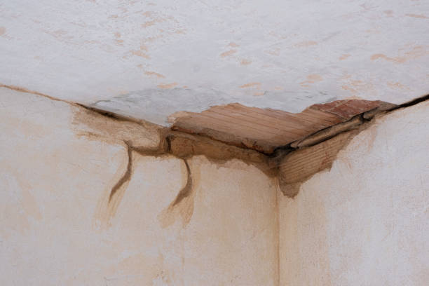 Best Mold removal after water damage  in Val Verde, CA