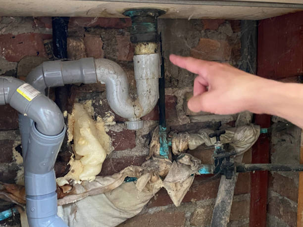 Best Water damage restoration insurance claims  in Val Verde, CA